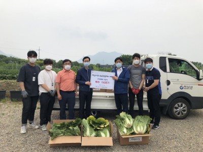 미사공공텃밭에서 재배된 친환경 배추 이미지