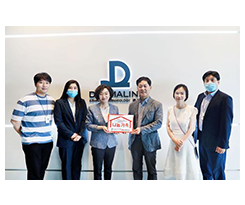 제31호 더마라인 이미지