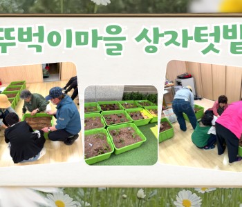 초록으로 물든 복지관, 뚜벅이마을 상자텃밭 이야기 이미지